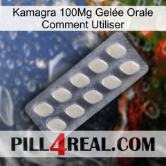 Kamagra 100Mg Gelée Orale Comment Utiliser 08